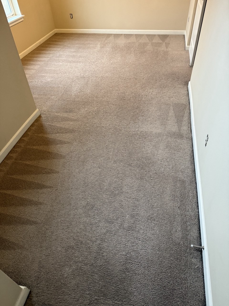 After carpet cleaning results Tacoma WA
