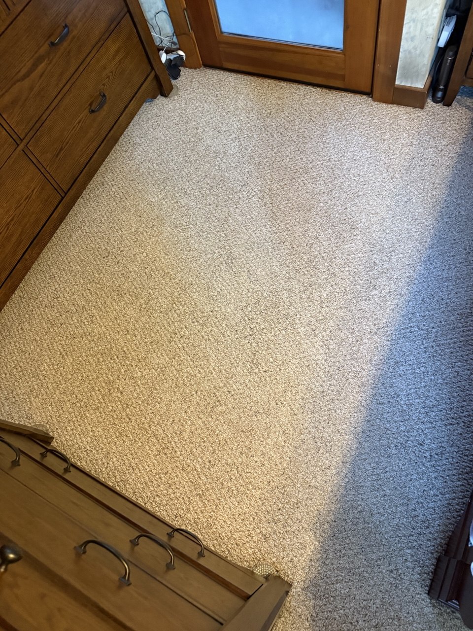 After carpet cleaning results Tacoma WA