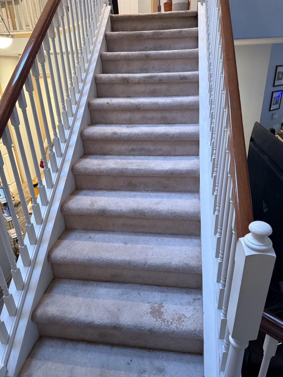 Before carpet cleaning Tacoma WA